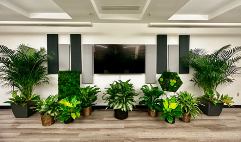 Tropical Plant Rentals